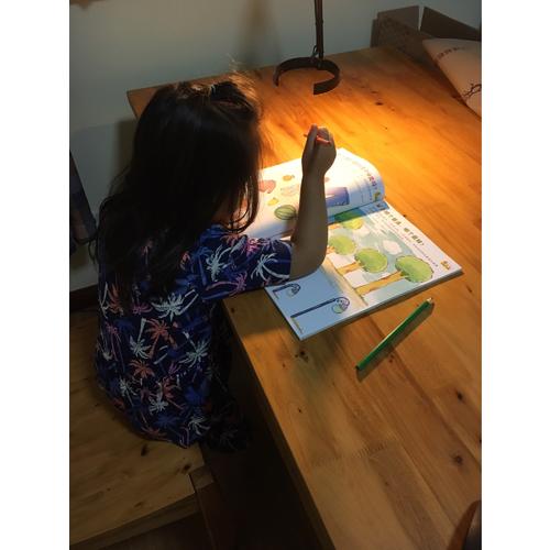 玩转数学·3+（全5册）