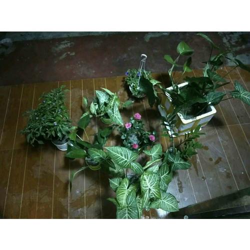 做内心强大的自己·歪歪兔逆商教育系列图画书第二辑（全10册）