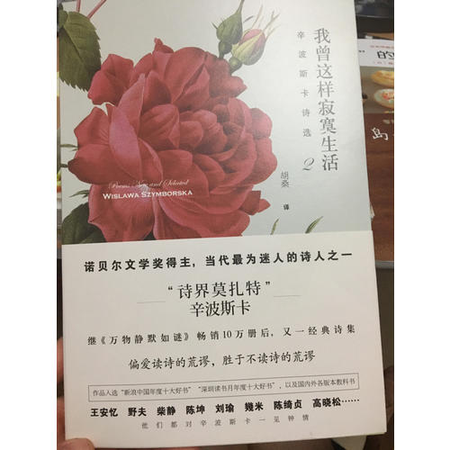 我曾这样寂寞生活：辛波斯卡诗选2