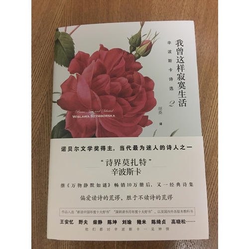 我曾这样寂寞生活：辛波斯卡诗选2