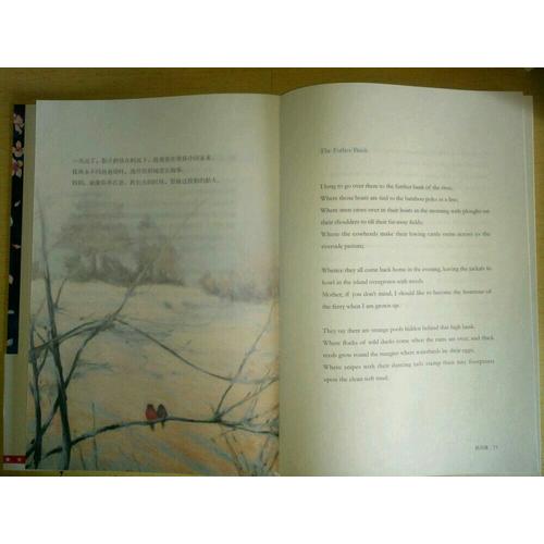 生如夏花：泰戈尔经典诗选(全彩插图双语珍藏版)