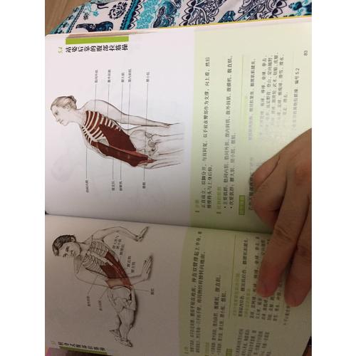 酸痛拉筋解剖书