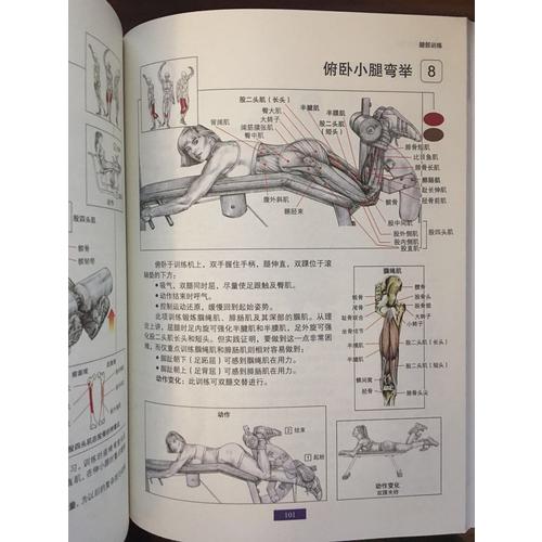 肌肉健美训练图解（近期版）