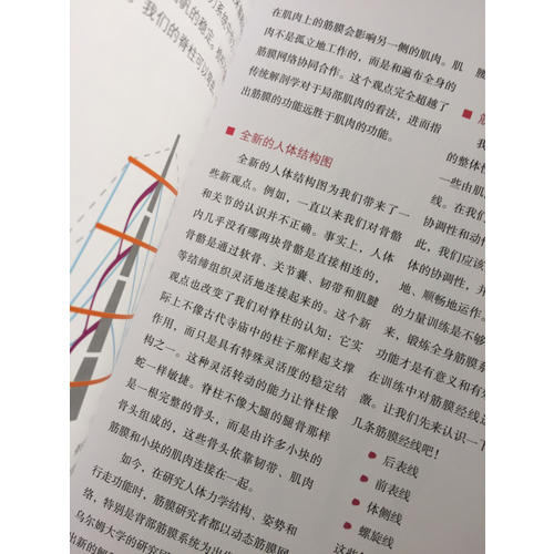 筋膜健身：系统科学的筋膜训练方法全书