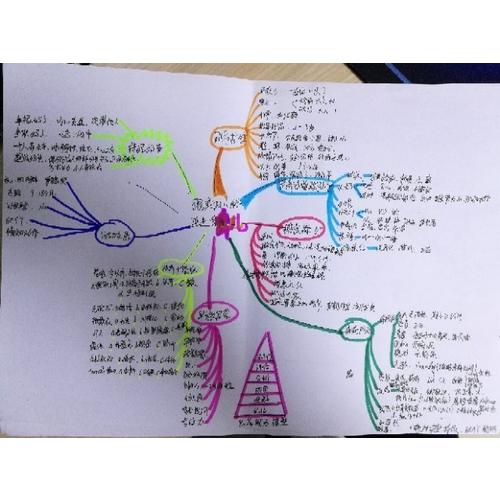 跟美国儿科医生学育儿