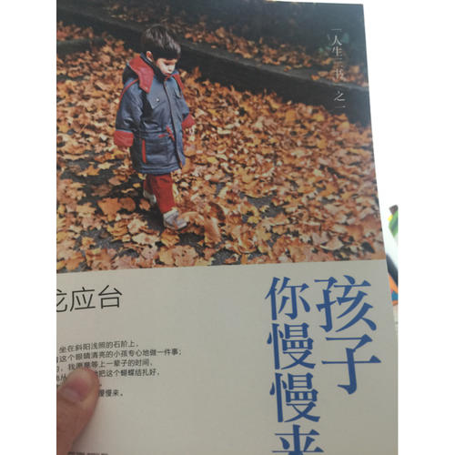 孩子你慢慢来：龙应台