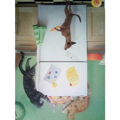 打火机与公主裙2：长明灯