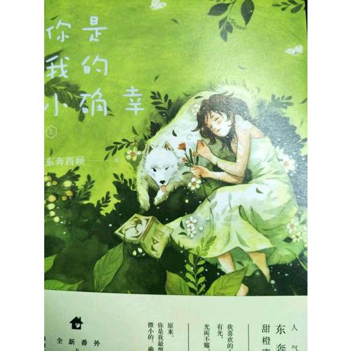 你是我的小确幸