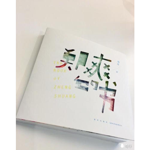 郑爽的书