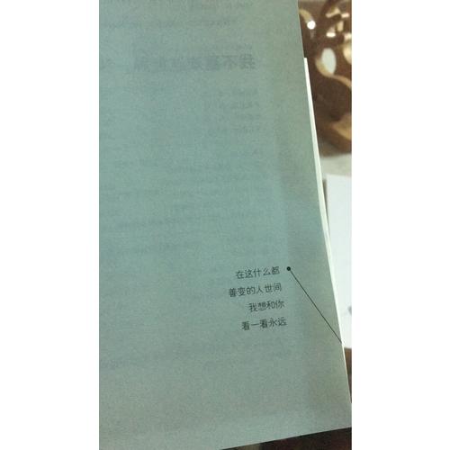 我不喜欢这世界,我只喜欢你