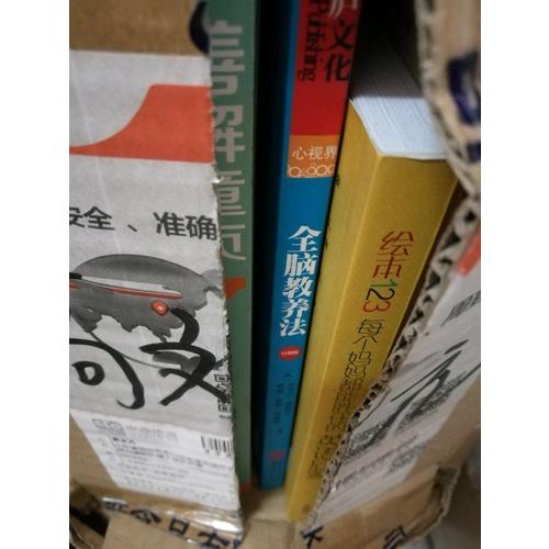 全脑教养法：拓展儿童思维的12项革命性策略（经典版）