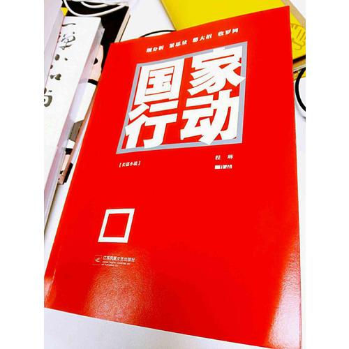 国家行动