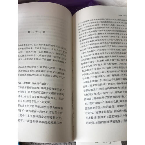 丰乳肥臀