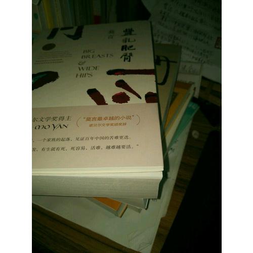 丰乳肥臀