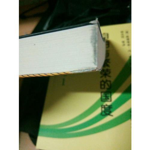 保险局中局：国内及时部解密保险欺诈内幕的开山之作