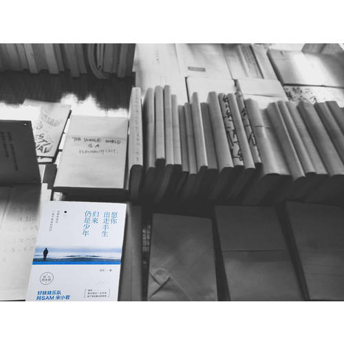 愿你出走半生，归来仍是少年