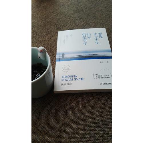 愿你出走半生，归来仍是少年