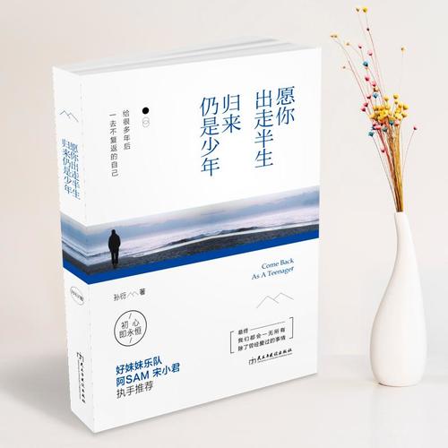 愿你出走半生，归来仍是少年