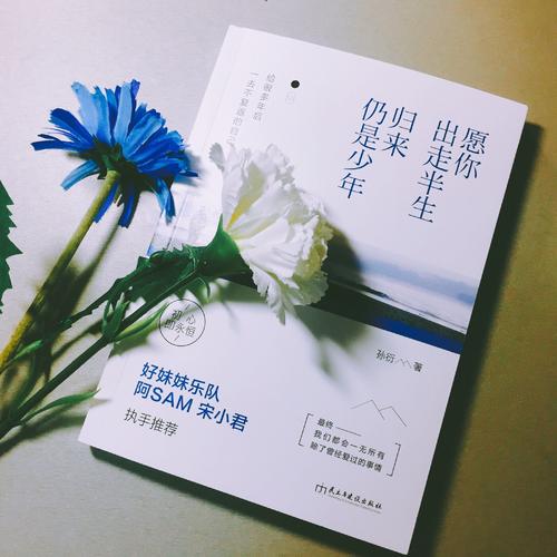 愿你出走半生，归来仍是少年