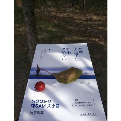 愿你出走半生，归来仍是少年