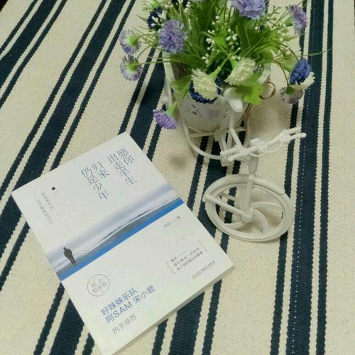 愿你出走半生，归来仍是少年