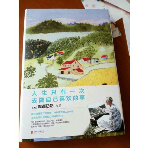 人生只有一次，去做自己喜欢的事（精装）