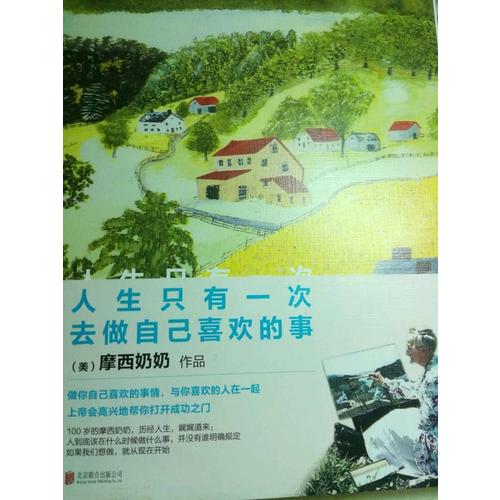 人生只有一次，去做自己喜欢的事（精装）