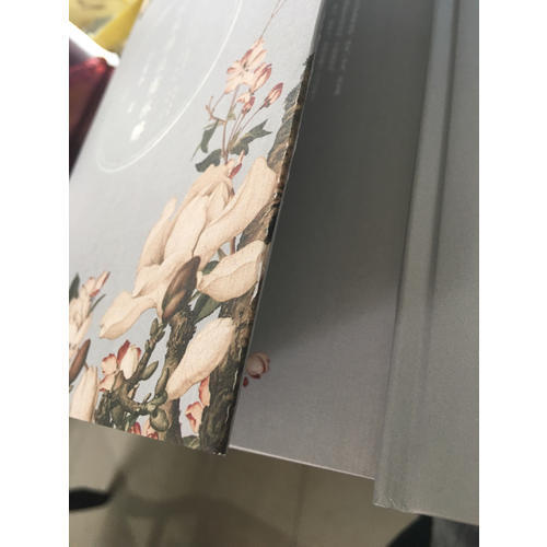 罗素传：孤独的精神 1872—1921