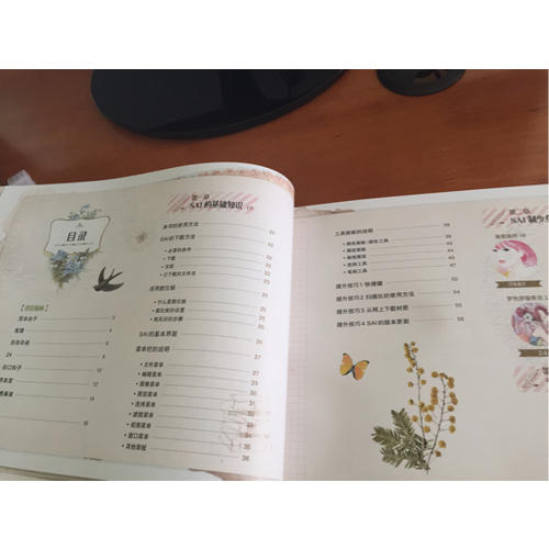 有SAI就行少女系数码绘教程