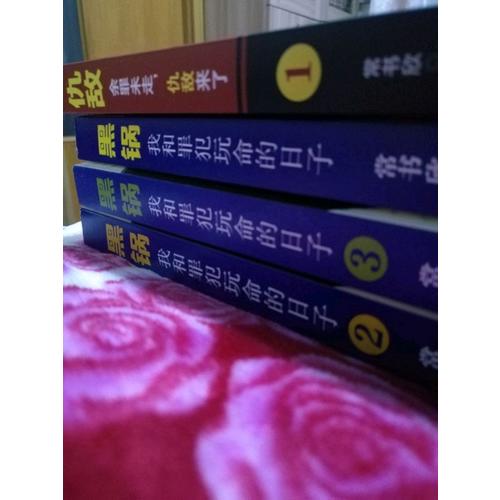 黑锅3：我和罪犯玩命的日子