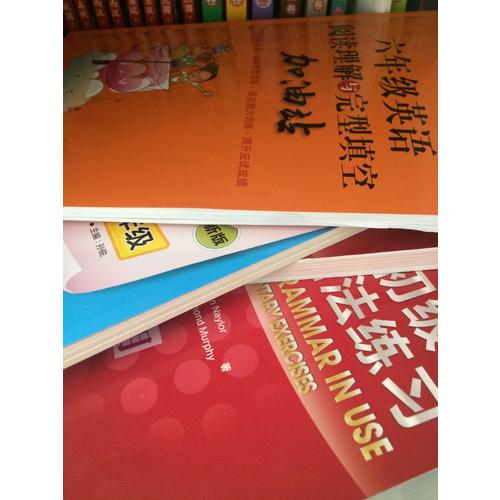 剑桥初级英语语法练习(第三版·中文版)