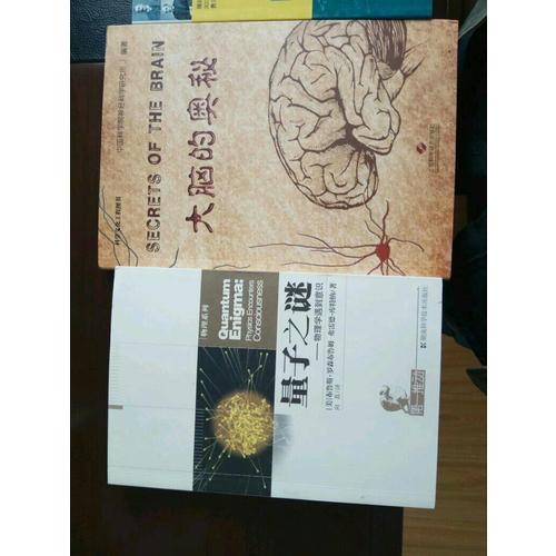 及时推动丛书物理系列量子之谜·物理学遇到意识