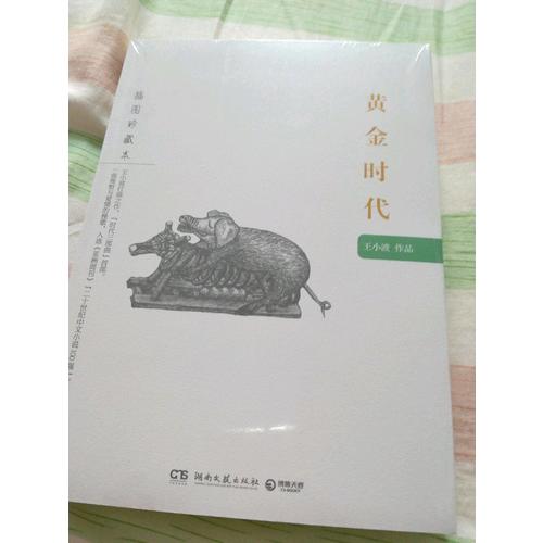 黄金时代：王小波作品（插图珍藏本）