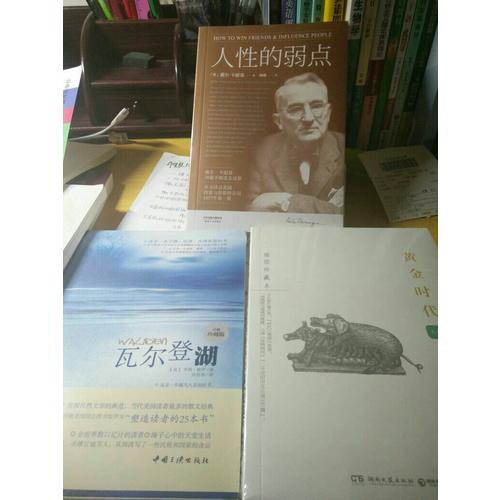 黄金时代：王小波作品（插图珍藏本）