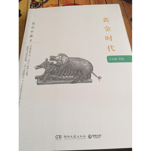 黄金时代：王小波作品（插图珍藏本）