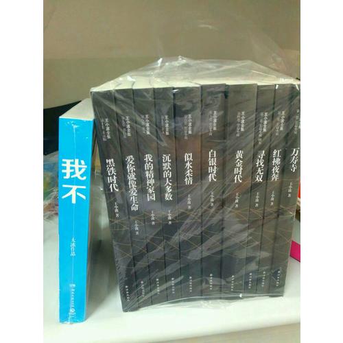 王小波全集（全10册）