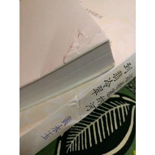 沿着塞纳河到翡冷翠