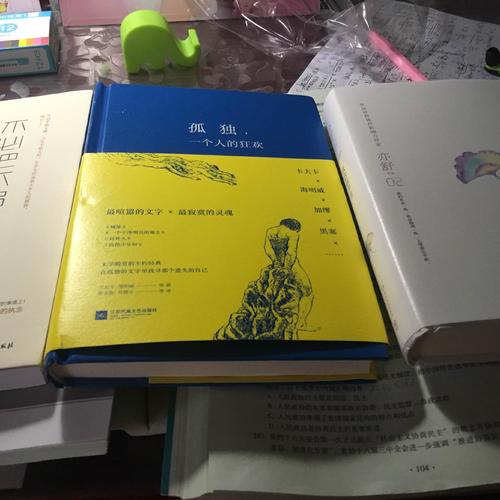 孤独，一个人的狂欢