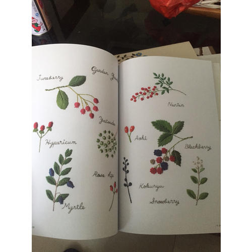 青木和子的庭院花朵刺绣图鉴