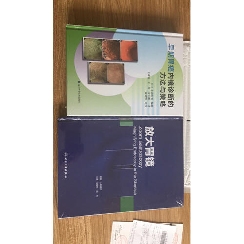 早期胃癌内镜诊断的方法与策略