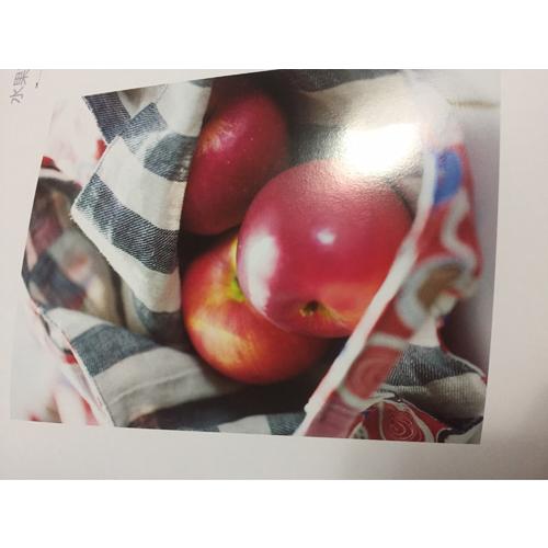 齐藤谣子的拼布教室：魅力无限布手包