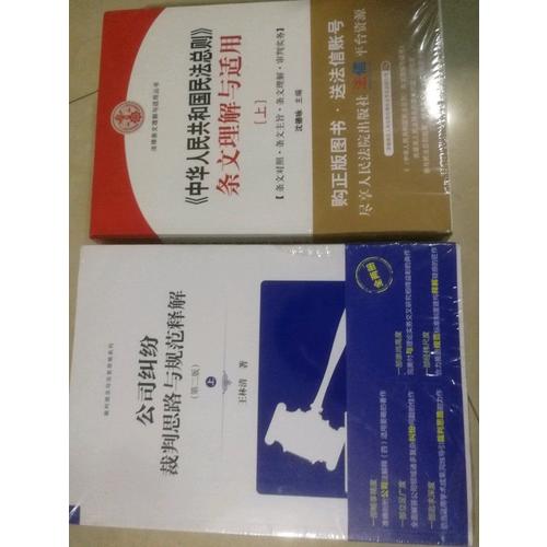 公司纠纷裁判思路与规范释解（第二版）