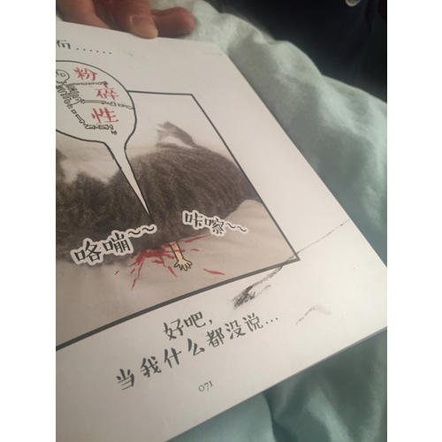 就喜欢你看不惯我 又干不掉我的样子2