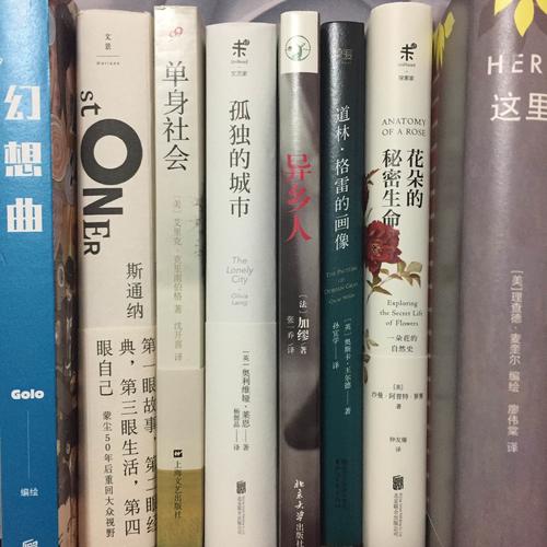 这里（精装）:Here安古兰漫画节大奖作品