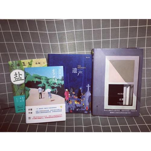 这里（精装）:Here安古兰漫画节大奖作品