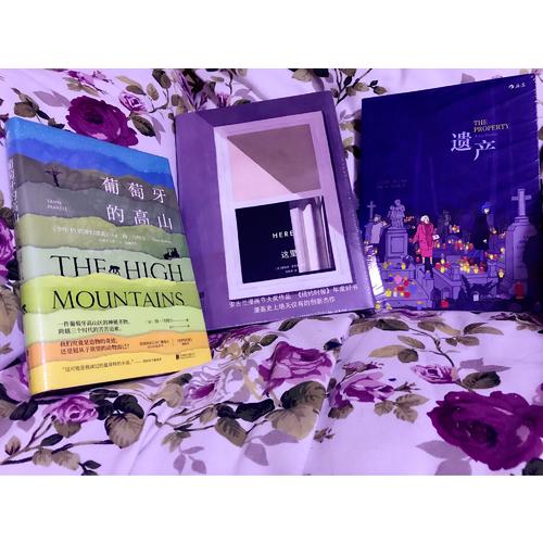 这里（精装）:Here安古兰漫画节大奖作品