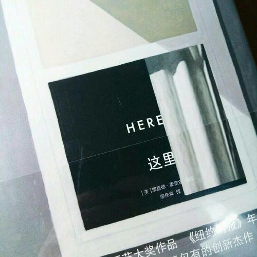 这里（精装）:Here安古兰漫画节大奖作品