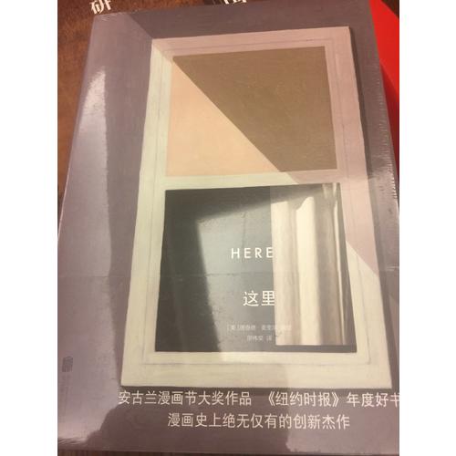 这里（精装）:Here安古兰漫画节大奖作品