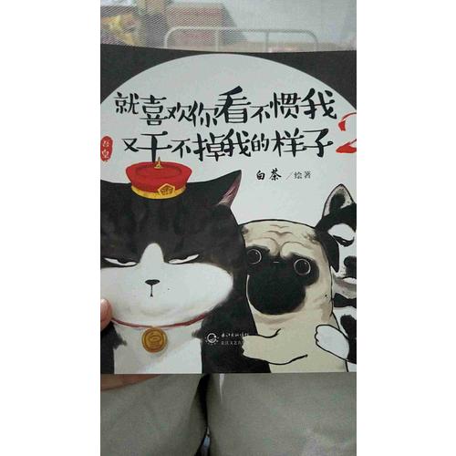 就喜欢你看不惯我又干不掉我的样子（套装全二册）