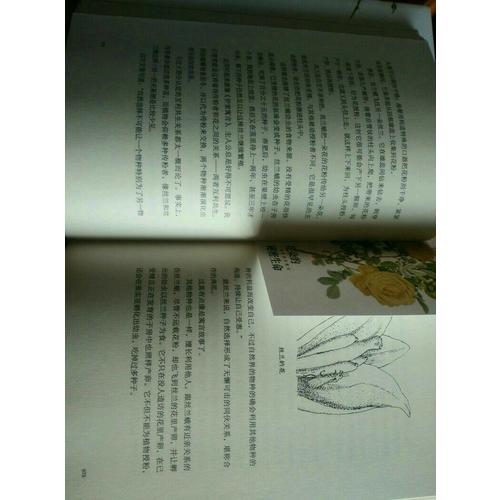 花朵的秘密生命